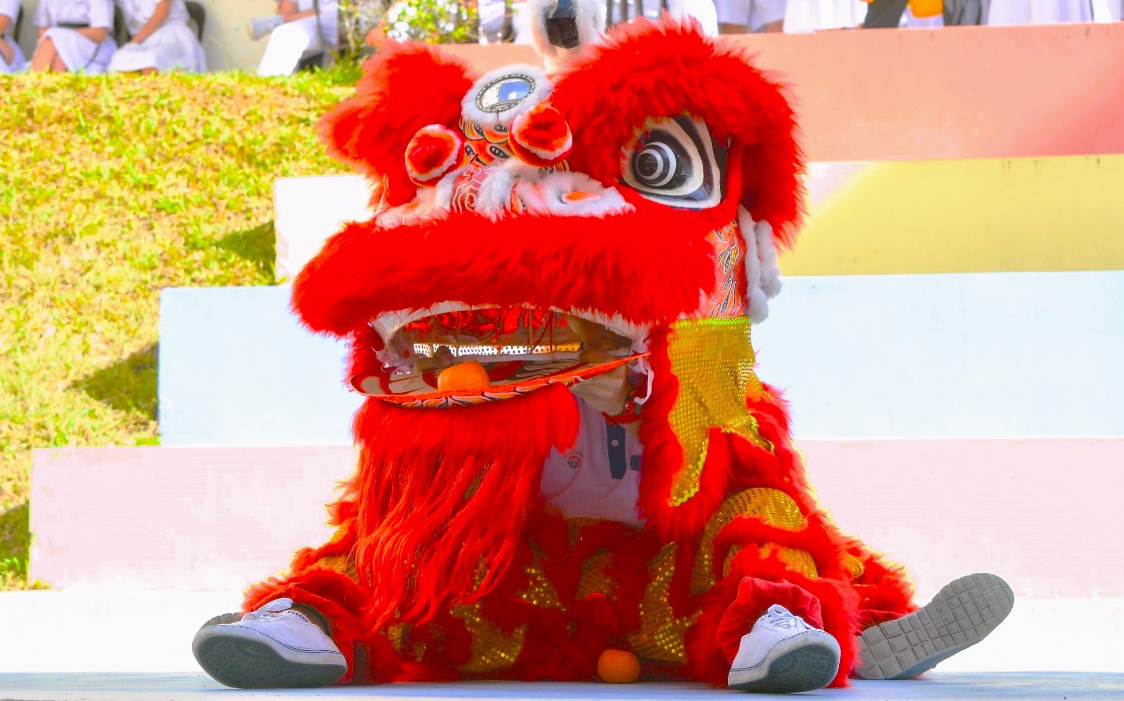 龙狮团