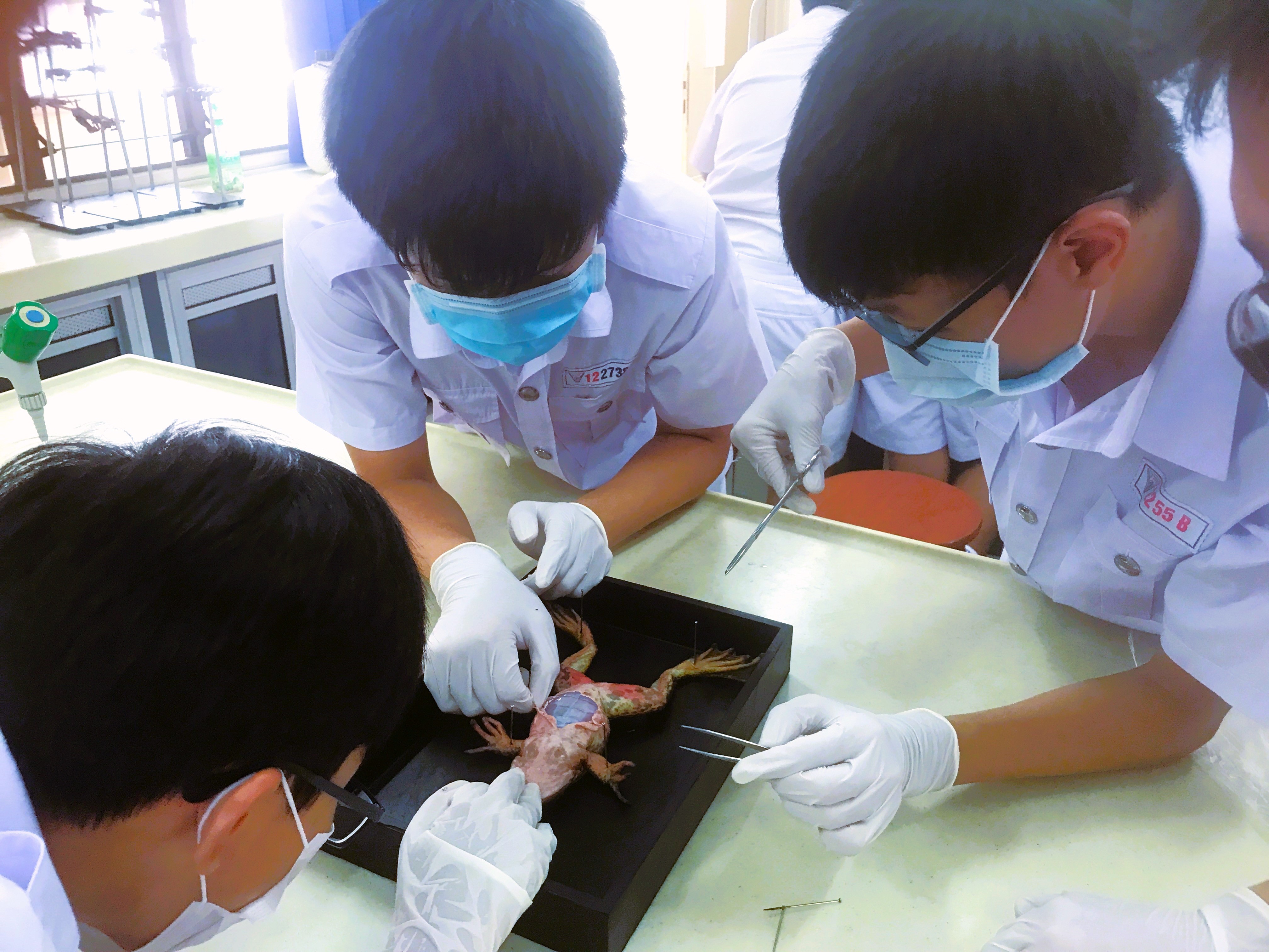 科学学会