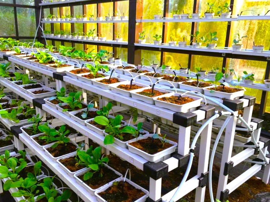 生态培植社