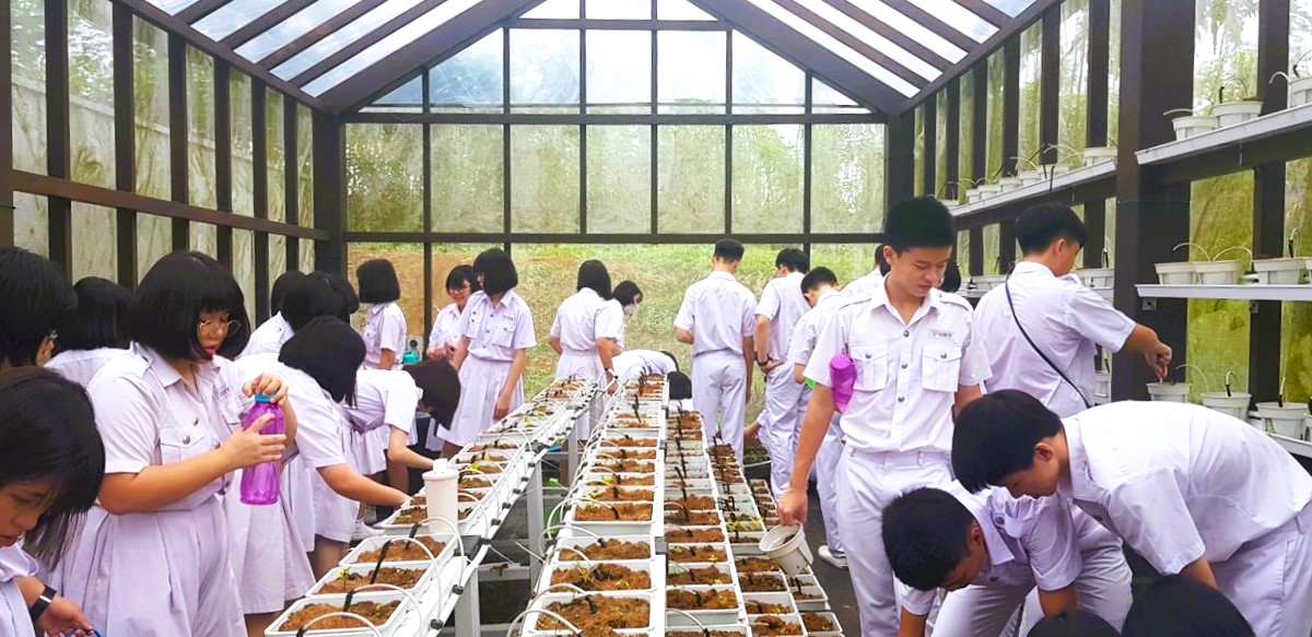 生态培植社