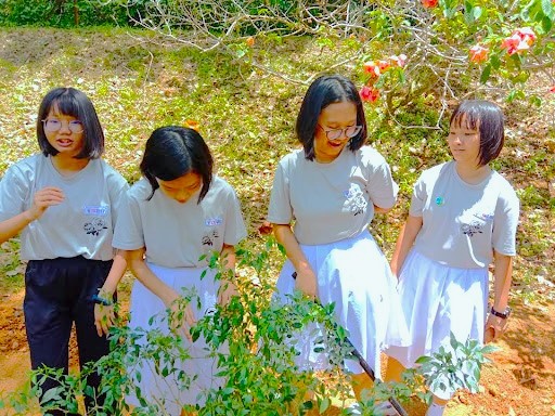 园艺学会
