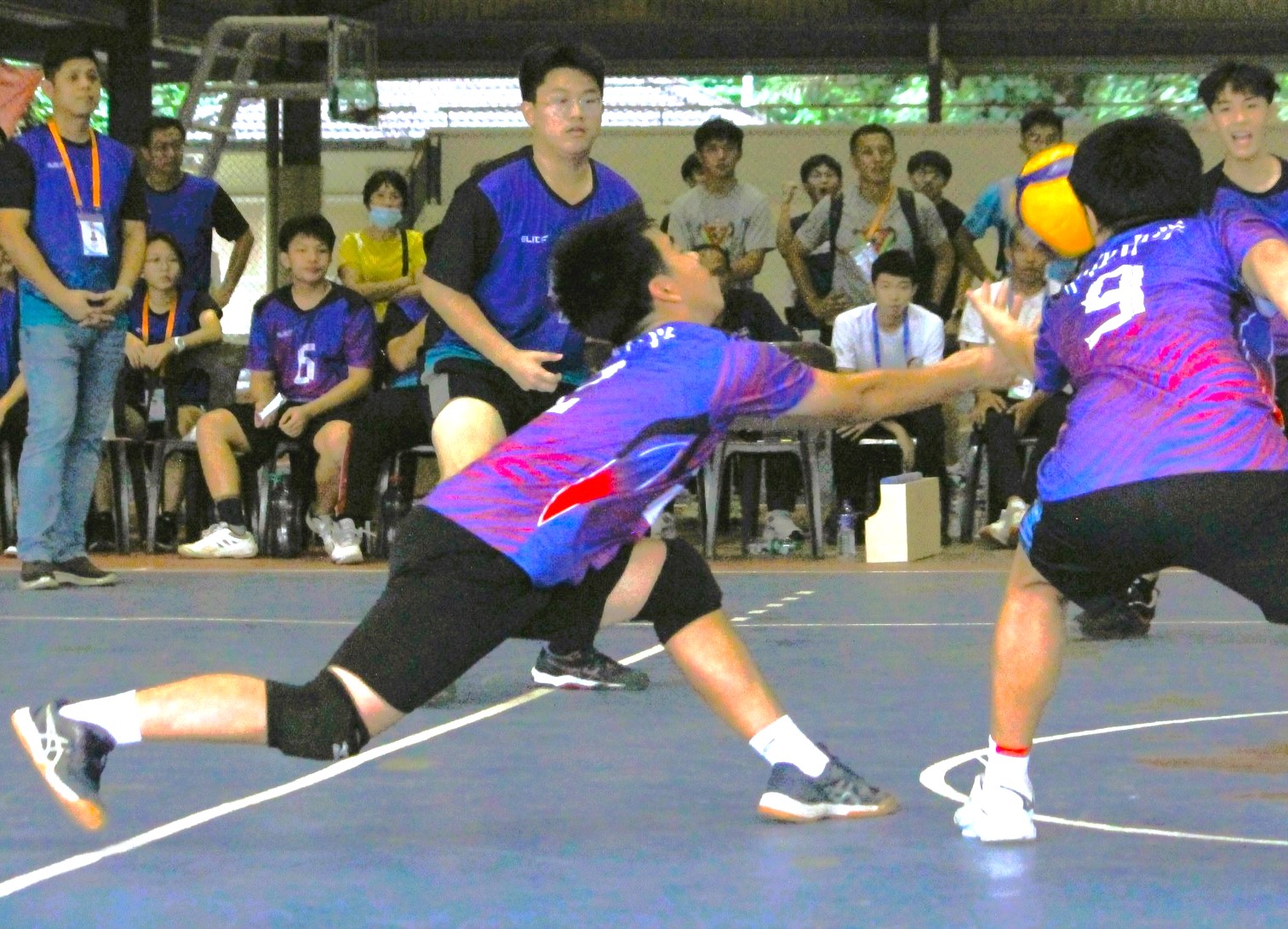 男子排球协会