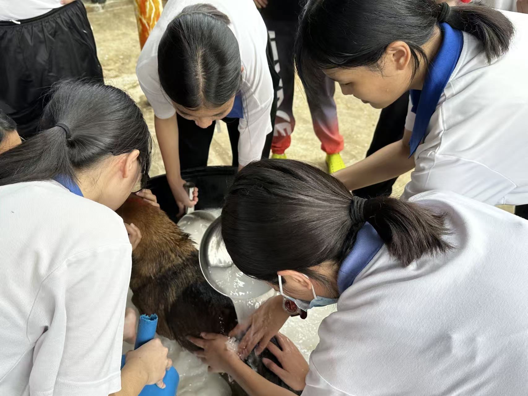 学生从原本不熟悉，到逐渐掌握照护的方式。